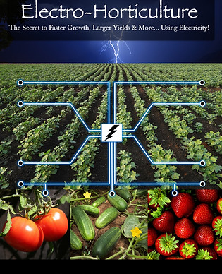 David Wechsler'sElectroculture Book